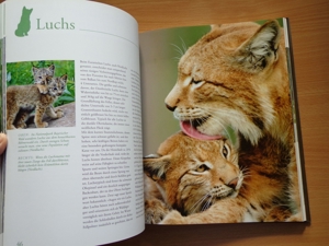 "Tierkinder im Zoo", ein Großbildband, von Prof. Dr. Henning Wiesner, BLV Bild 9