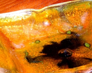 Designobjekt: psychedelisch-grüner Eisglas / Bubbles-Aschenbecher Bild 6