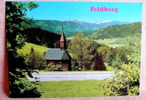 Grüße aus dem Schwarzwald - alte, farbige Mehrmotiv Postkarte Bild 8