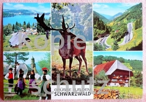 Grüße aus dem Schwarzwald - alte, farbige Mehrmotiv Postkarte Bild 1
