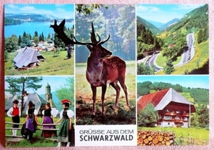 alte Ansichtskarte - Feldberg im Schwarzwald Bild 10