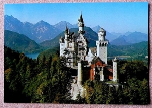 Grüße aus dem Schwarzwald - alte, farbige Mehrmotiv Postkarte Bild 10