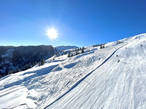 Atemberaubende Ferienwohnung / Skifahren Ostern / Kitzbüheler Alpen Bild 13
