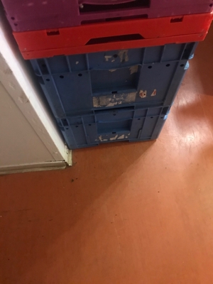 Schäfer Transport Aufbewahrung und Stapel Kiste Bild 7