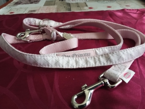 Verschiedenes Zubehör für Hunde Halsband Leine, Clicker Bild 4