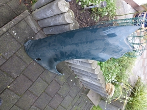 Kotflügel vorne rechts VW Passat 1998-2001 Bild 2