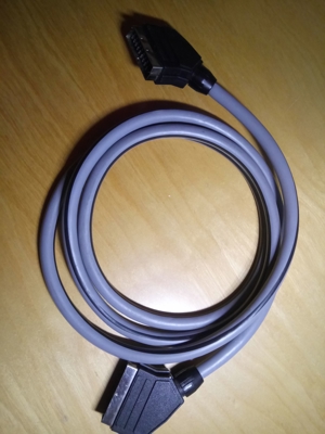 Scartkabel 21polig grau