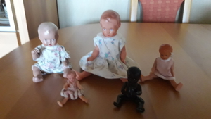 Original Schildkröt Puppen,diverse Größen,zu verkaufen Bild 7