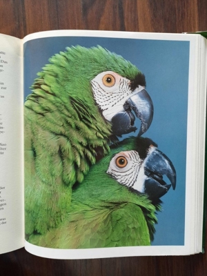 Handbücher für zucht und Pflege Bild 4