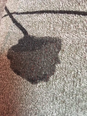 JÄCKCHEN-SHIRT SET *GROSSE GRÖSSE* GRÖSSE 46/48 Bild 9