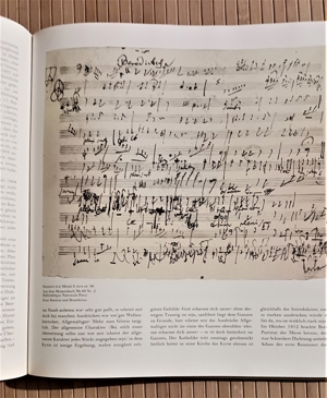 Ludwig van Beethoven - Buch -deutsche Ausgabe- Bild 10