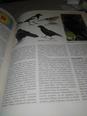 Prof. Dr. Edwin Möhn   Der große Natur- und Landschaftsführer   U Bild 9