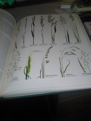 Prof. Dr. Edwin Möhn   Der große Natur- und Landschaftsführer   U Bild 7