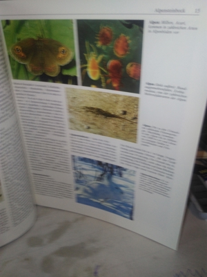 Prof. Dr. Edwin Möhn   Der große Natur- und Landschaftsführer   U Bild 3