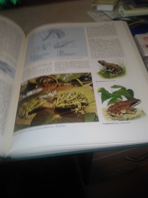 Prof. Dr. Edwin Möhn   Der große Natur- und Landschaftsführer   U Bild 6