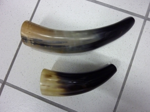 Jagdhorn / Signalhorn