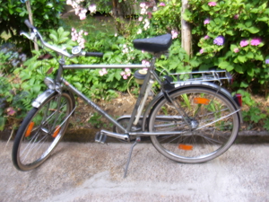 Herren Fahrrad 26 Zoll NSU Bild 3