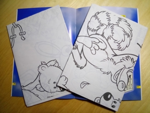 Die schönsten Window - Color - Motive Bild 3