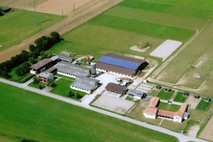 Pferdebox in Vollpension