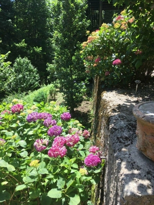 Ferienwohnung Schwarzwald Allerheiligen-Wasserfälle Oppenau