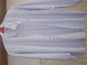 Turnieroutfit, Jacket, Bluse, Reithose Bild 6