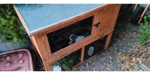 Stall für Kaninchen zu verkaufen plus zwei Holz Häuschen! Bild 6