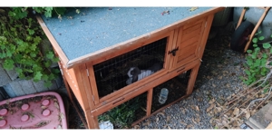 Stall für Kaninchen zu verkaufen plus zwei Holz Häuschen! Bild 7