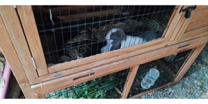 Stall für Kaninchen zu verkaufen plus zwei Holz Häuschen! Bild 5