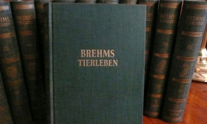 Brehms Tierleben - Lexikon komplett in 12 Bänden Bild 9