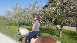 Spaß, feine Hilfen und langjährige Partnerschaft mit dem Pferd - auch für Anfänger geeignet Bild 18