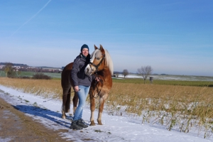 Spaß, feine Hilfen und langjährige Partnerschaft mit dem Pferd - auch für Anfänger geeignet Bild 15