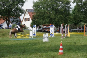 Spaß, feine Hilfen und langjährige Partnerschaft mit dem Pferd - auch für Anfänger geeignet Bild 16