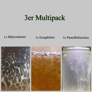 3erPack Ansätze 1x Essigälchen, 1x Mikrowürmer sowie 1x Pantoffeltierchen