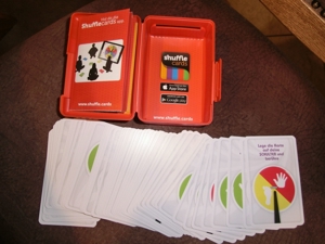 SHUFFLE Kartenspiele TWISTER und EISKA NIGIN/ sehr gut erhalten Bild 2