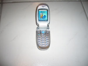 Samsung E300