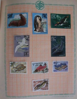 Briefmarken, Briefmarkenserie UdSSR Flora und Fauna Bild 6