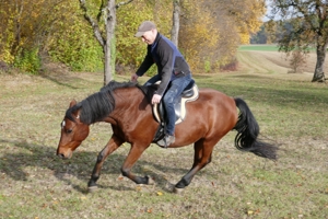 Pferdetrainer, Pferdeausbildung und Reiterausbildung Bild 12