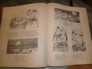 Buch aus der Reihe "Fliegende Blätter" Bände 1771 - 1822 incl. Beiblätter, erschienen ca. 1880 Bild 3