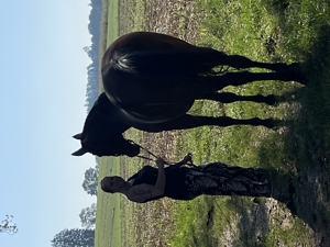 Wer mag mich reiten, mich kuscheln und lieb haben? Unterricht auf Beteiligungsbasis Bild 9