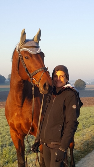 Wer mag mich reiten, mich kuscheln und lieb haben? Unterricht auf Beteiligungsbasis Bild 5