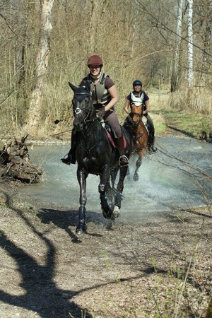 Wer mag mich reiten, mich kuscheln und lieb haben? Unterricht auf Beteiligungsbasis Bild 8