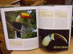 2 Bücher über Vögel Bild 2