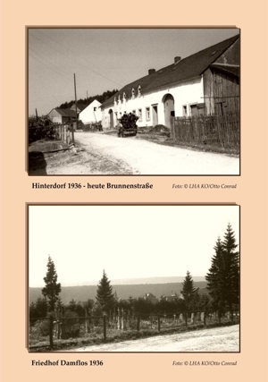 Mundart Wörterbuch der Region Hochwald, Mosel, Saar und Eifel Bild 4