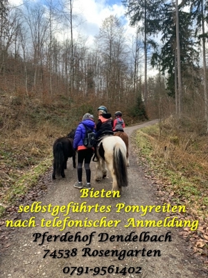 Selbstgeführtes Ponyreiten auf dem Pferdehof Dendelbach Bild 3