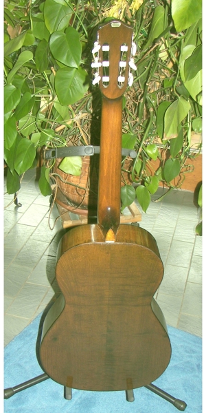 Schöne 3/4 Konzertgitarre klassische Nylonsaiten Gitarre im Vogelsberg zu verkaufen Bild 3