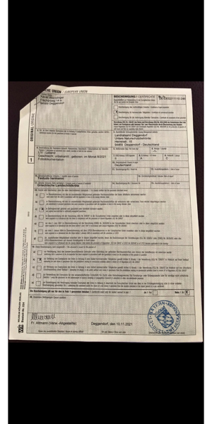 griechische Landschildkröte schildkröte schildkroete Bild 7