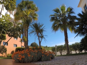 Ferienwohnung mit Pool Meerblick Lagos-Algarve Portugal Überwintern Bild 5