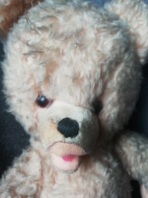 Alter Teddybär  Bild 2