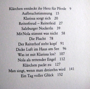 "Junge Reiter mit Herz und Mut" von Ingeborg Sinn in sehr gutem Zustand, J. Richter Verlag Bild 7