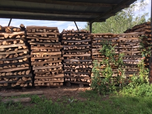 Brennholz - Feuerholz , Fichte und Buche zu verkaufen Bild 3